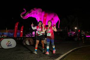 BIB: 
                            <button type="button" onclick="openModal(26534773)" class="btn btn-primary btn-sm float-right btn-popup" data-toggle="modal" data-target=".modal-high-quality">
                        <i class="fas fa-shopping-cart"></i> Add to Cart
                    </button>
                                            <button type="button" onclick="isThisMe(26534773, true)" class="btn btn-success btn-sm float-right btn-popup btn-isme hidden" data-toggle="tooltip" data-placement="bottom" title="นี่คือรูปของคุณใช่ไหม คลิกที่นี่เพื่อเอาเข้าอัลบั้ม">
                        <i class="fas fa-plus"></i> Add to album
                    </button>
                    <button type="button" onclick="isThisMe(26534773, false)" class="btn btn-warning btn-sm float-right btn-popup btn-isnotme hidden">
                        <i class="fas fa-ban"></i> Remove from album
                    </button>